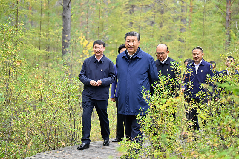 9月6日至8日，中共中央总书记、国家主席、中央军委主席习近平在黑龙江考察。这是6日下午，习近平在大兴安岭地区漠河市漠河林场自然林区考察